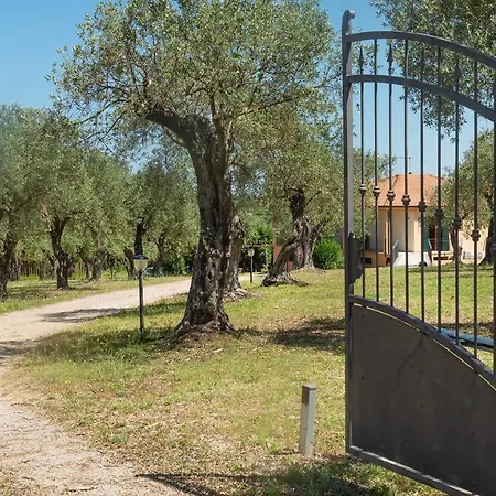 Welcomely - Country Olivar 2* 알게로