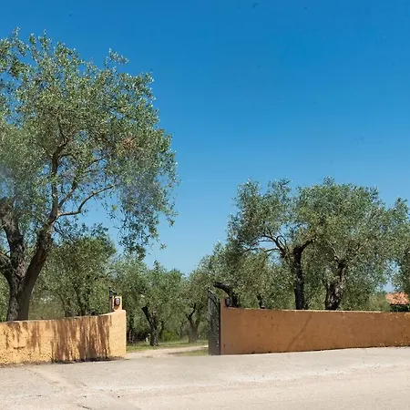 Bed & Breakfast Welcomely - Country Olivar